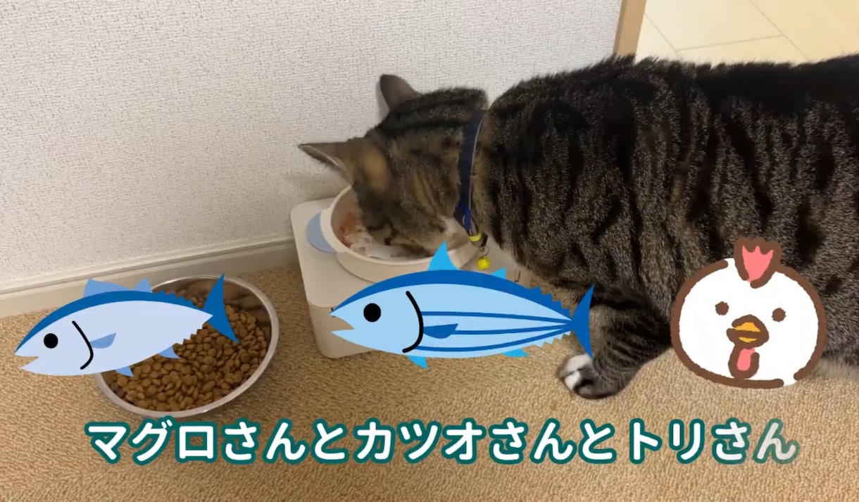 簡単なロングやショートの動画編集します カットだけ、字幕だけOKSEやBGM挿入もできます イメージ2