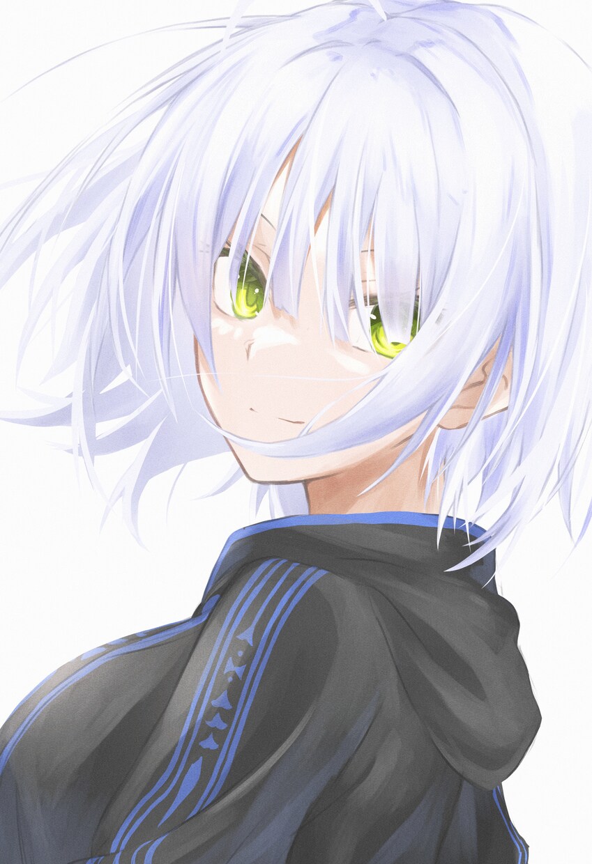 立ち絵、歌みた、など貴方の希望のイラスト制作します 高品質で本格的なイラストおまかせあれ！ イメージ8