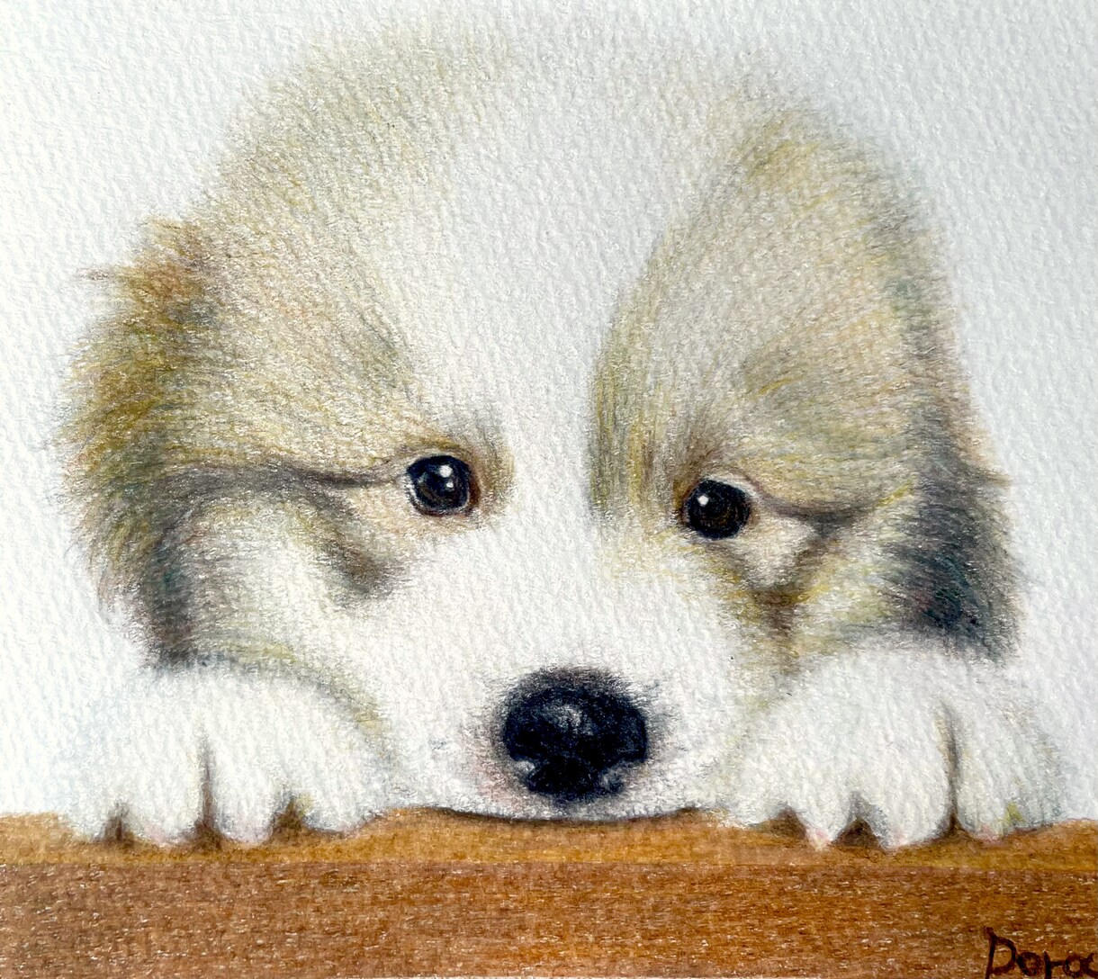 色鉛筆で動物、ペットの似顔絵お描きします 温かみのある世界に一つだけの絵をお届けします イメージ5