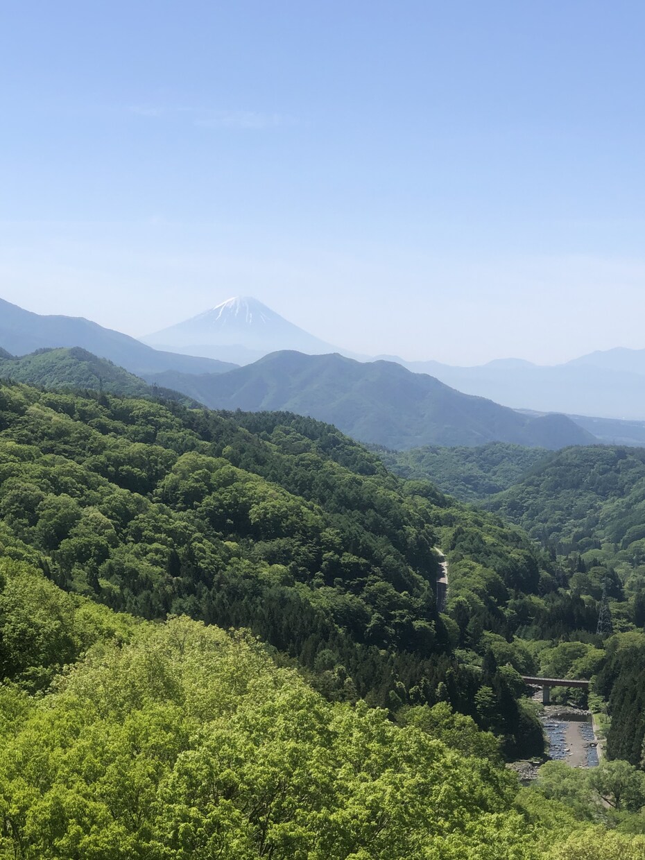 心から私のしたいがわかる質問をします 自分がどうしたいのか？という悩みを解決します イメージ1