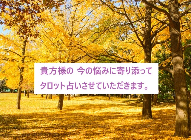 過去世ストーリーから、好転＆開運へのヒントを見ます 【カード9枚でじっくり】前世を客観的に観察してヒントをゲット イメージ5