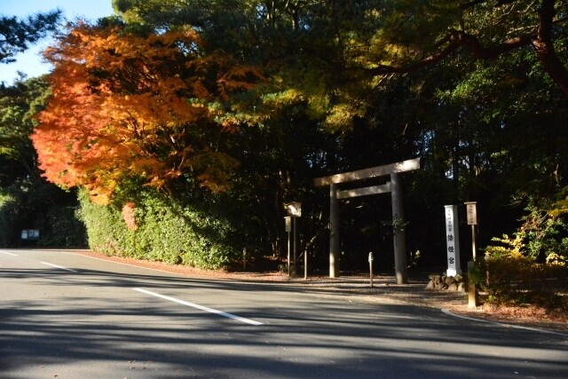 恋愛の悩み♡彼の気持ち♡霊感霊視タロットで占います 秘密の恋愛♡彼の気持ち♡霊感霊視タロット♡霊聴いたします イメージ10