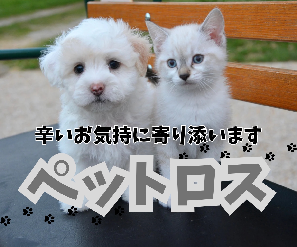 亡くしたあの子への辛く苦しいお気持ちに寄り添います 虹の橋を渡ったあの子の思いを伝えます明日は笑顔になれるように イメージ1
