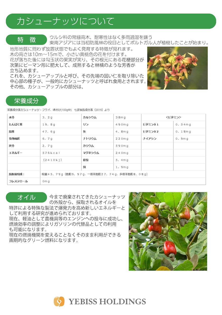 魅力を伝えるパンフレットデザイン承ります 会社学校イベントに最適!わかりやすく魅力を引き出すのデザイン イメージ5