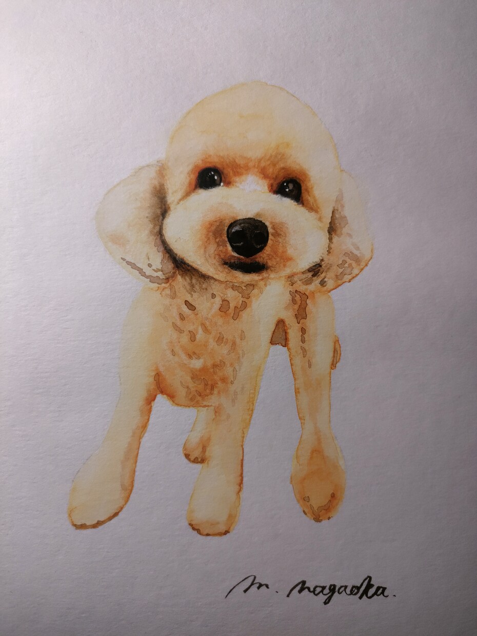色々な画材でで人物や動物を描きます 人物や動物を得意とします。まずはご相談下さい イメージ1