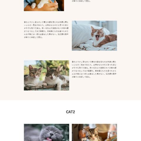 価格負担が少ない、サイトのコーディングします 納期にゆとりのある案件、ポートフォリオ掲載可能なOKで低価格 イメージ6