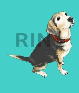 オリジナルイラストのLINEスタンプ作ります 似顔絵、ペット、お店、企業様の宣伝用スタンプはいかがですか? イメージ7