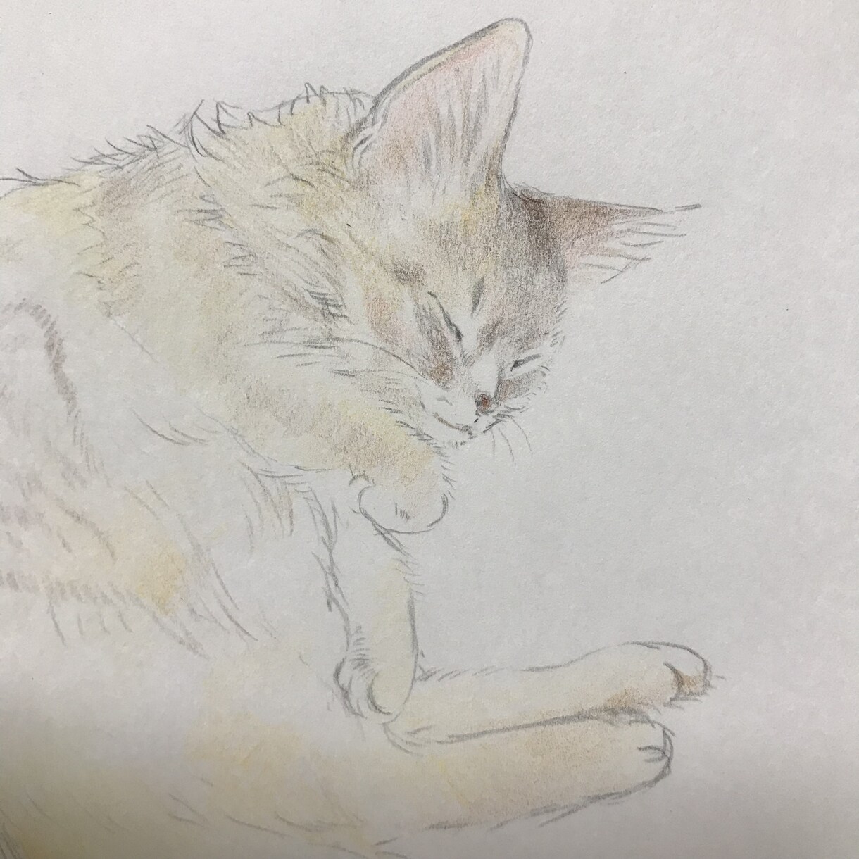 赤ちゃんやペットの似顔絵承っております 赤ちゃんの成長やペットとの思い出に残したい方 イメージ3