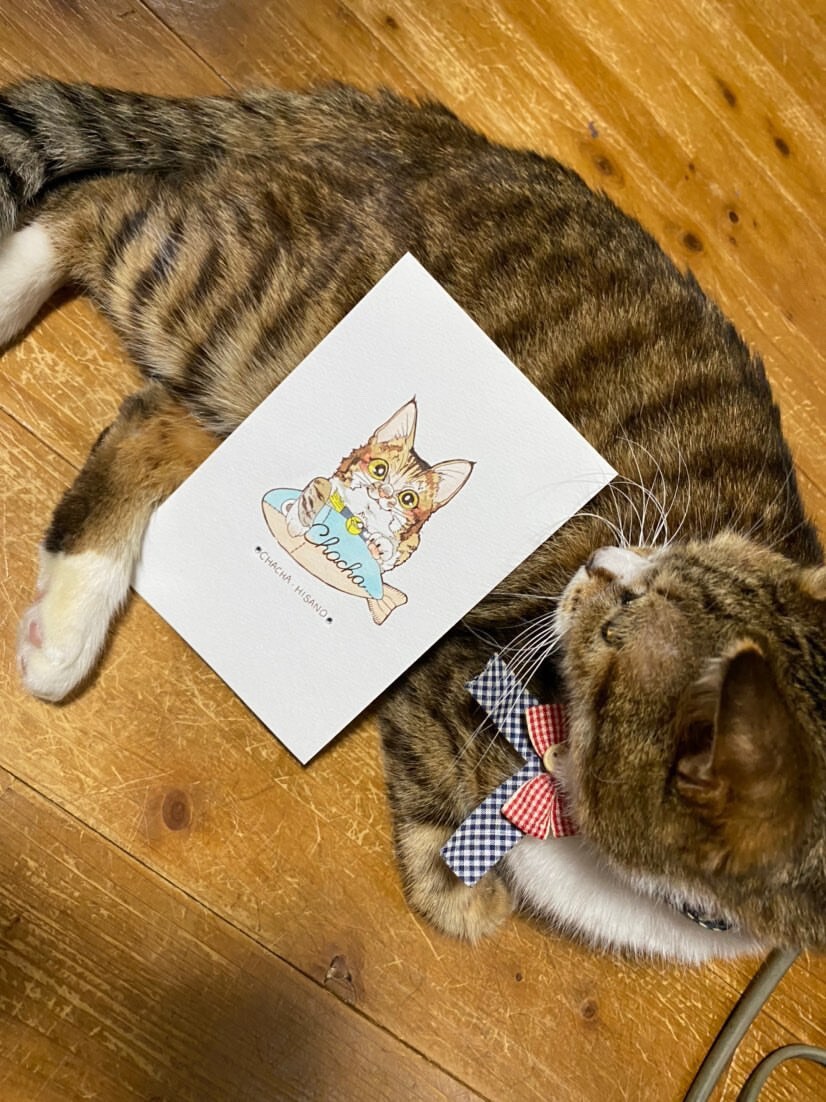 ペットや動物のイラストを描きます ペットや動物の思い出をのこしませんか？ イメージ4