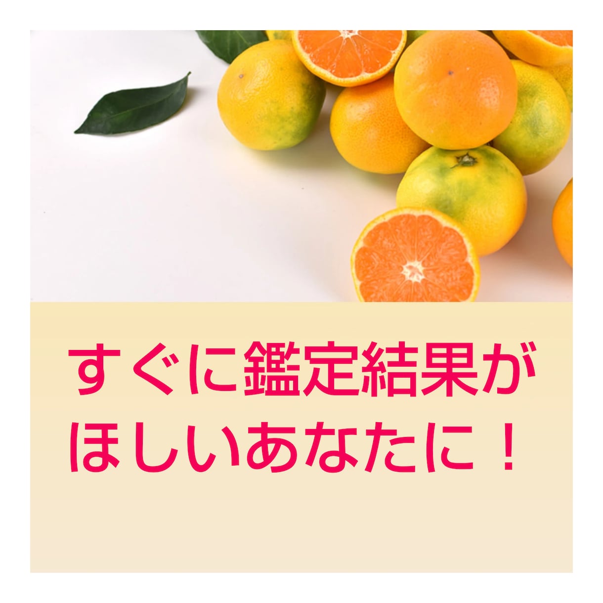 今すぐ鑑定します！すぐにチャットで恋愛鑑定致します ２１時以降四柱推命とタロットで鑑定相談します。すぐほしい方に イメージ4