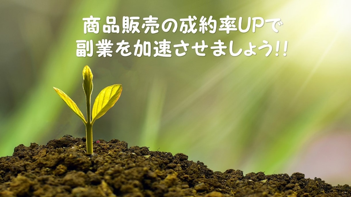 ネットビジネスでのオンライン販売のお手伝いをします 営業のプロが教えるネットビジネスでも使える営業のコツを伝授！ イメージ3