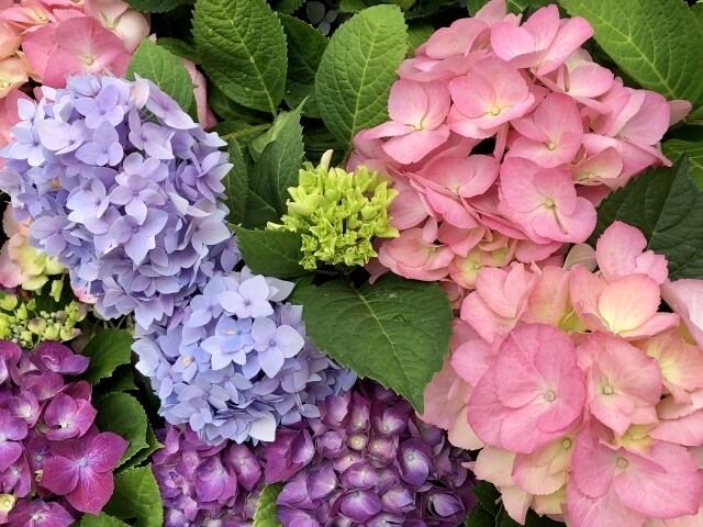 不倫・浮気に関するお悩み☔️やさしくお聴きします 恋愛依存 回避依存症 見捨てられ不安 愛着障害 不安型 イメージ6
