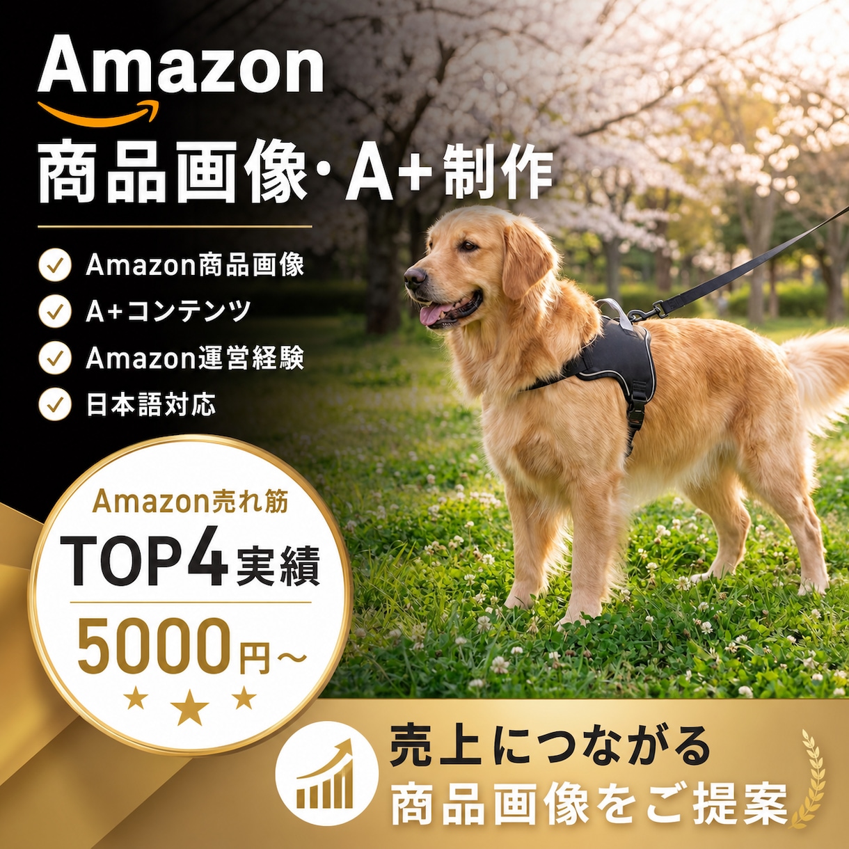 売れるAmazon商品画像を制作しますます 日本市場向けの商品画像を制作します イメージ1