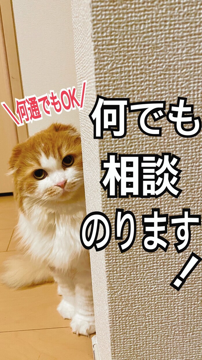 メッセージだから相談しやすい！お悩み聞きます 電話だと何を話していいかなど分からない方向けです！ イメージ1