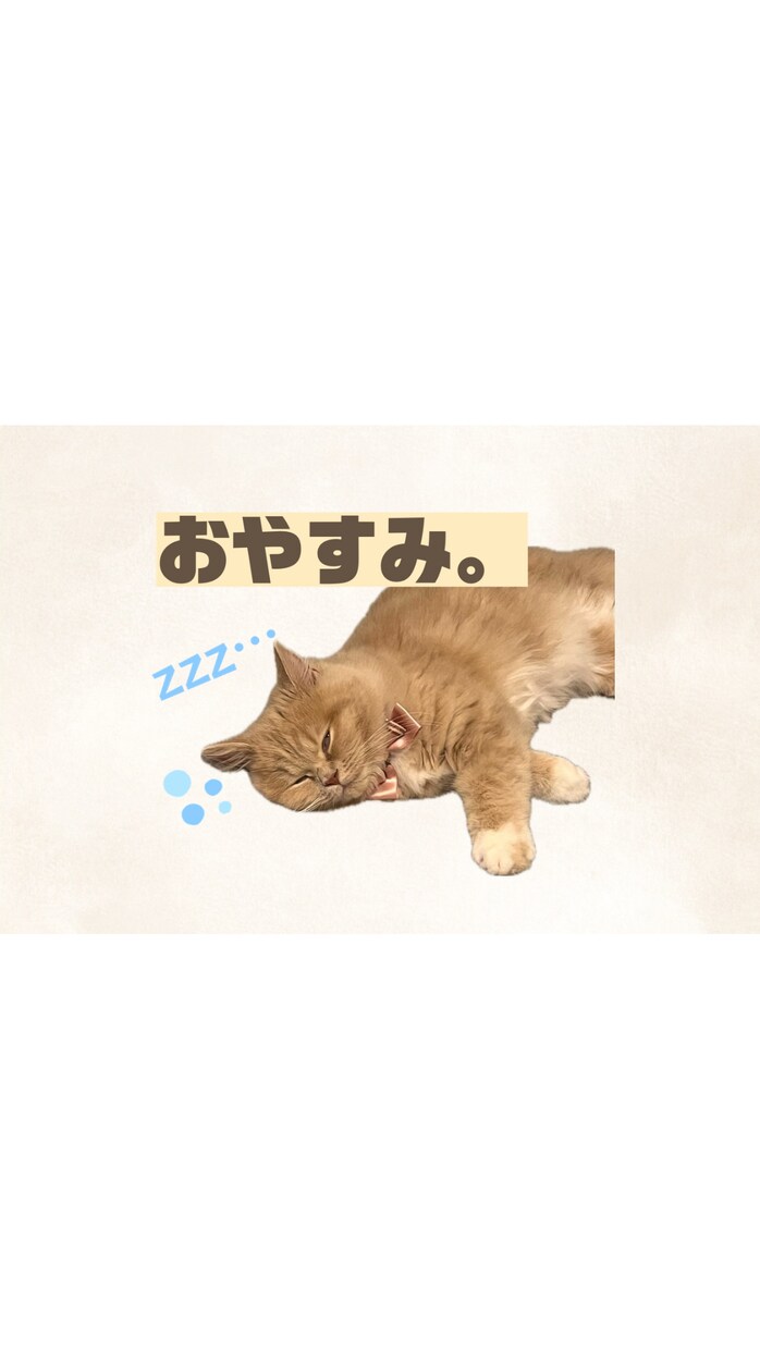 一生使える ペットのLINEスタンプを作成します 愛しのペット達のオリジナルLINEスタンプを作成します。 イメージ4