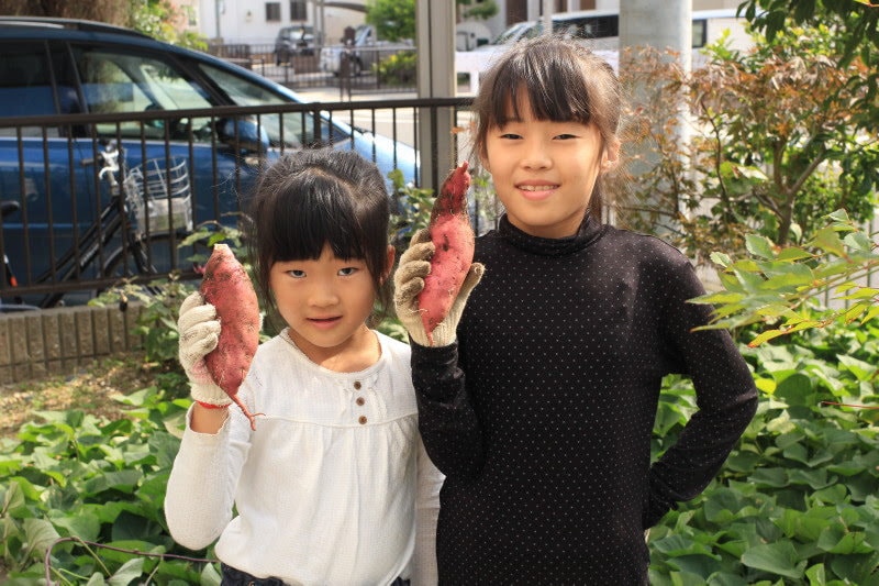 家庭菜園作りのご相談に乗ります 家庭菜園を家族で楽しみたい方、サポートさせて頂きます! イメージ4