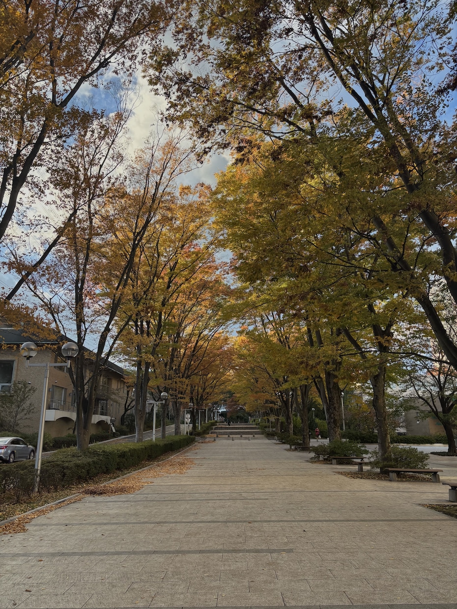 大学生の日常を切り取った写真を提供します 作り込みすぎない、Z世代の日常素材 イメージ2