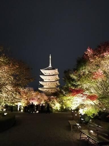 開運！運気上昇！  必要なメッセージをお伝えします 生年月日とカードリーディングで、開運占いをします。 イメージ1