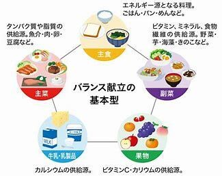 管理栄養士が楽しむ食事生活改善のアドバイスをします 忙しい方も、試してみたい方も、まずは短期間でご相談に乗ります イメージ7
