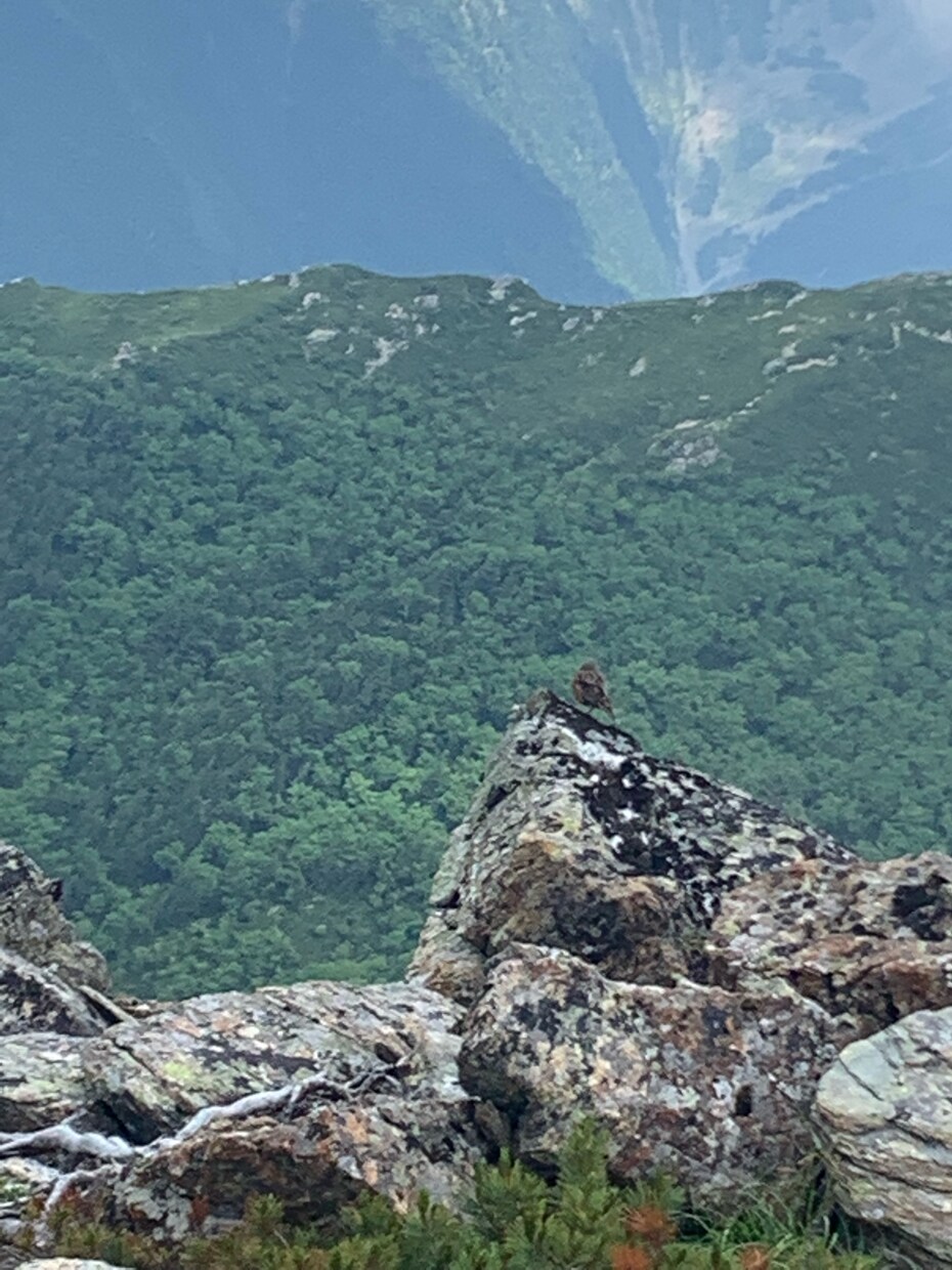 安全第一‼️医療視点で登山計画書を作成します 山岳診療の経験を活かして“なんとなく登山”から“安心登山”へ イメージ3