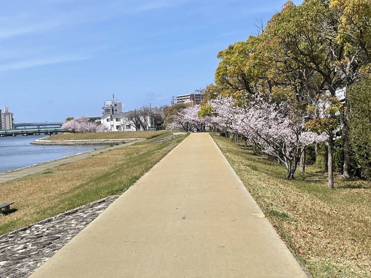 誰かと共有したい、どんな話でも伺います 1人で抱えるのに疲れた方、周囲に話すには気がひける方へ イメージ4