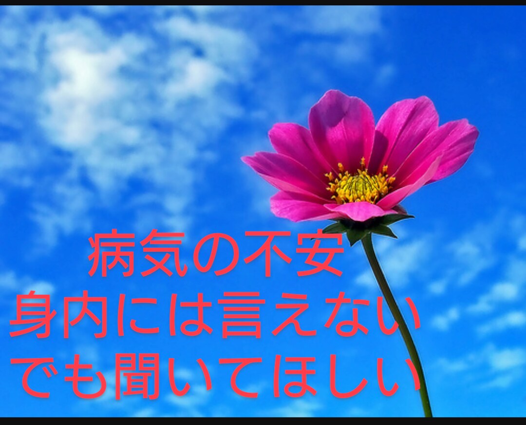 誰かと話したい方、悩み聞いてほしい方。全部聞きます 貴方の心のモヤモヤを少しでも和らげるお手伝いいたします。 イメージ9