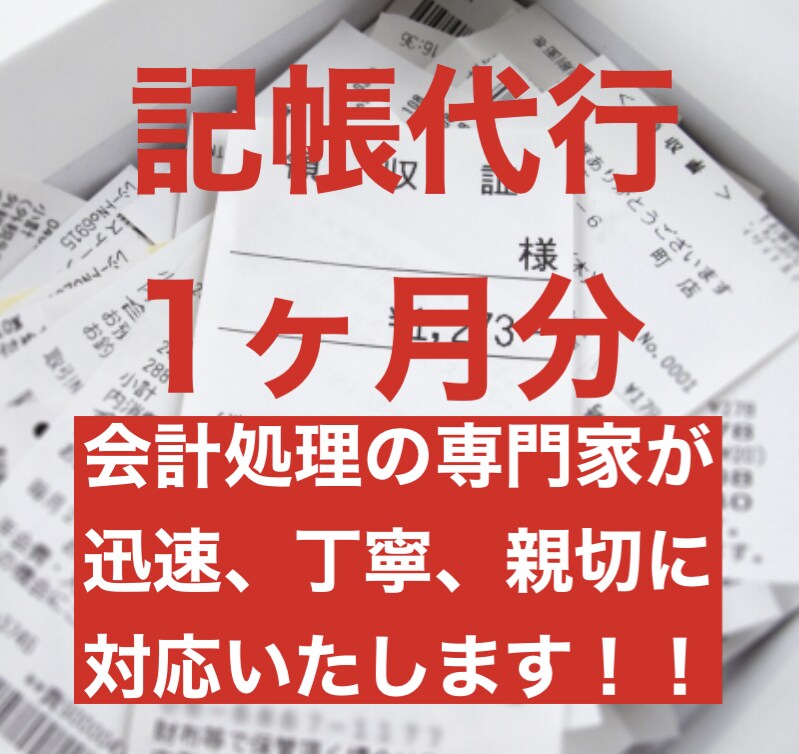 毎月の記帳代行&アドバイス承ります しっかりとした会計処理は経営には必須。継続的なご依頼もOK！ イメージ1
