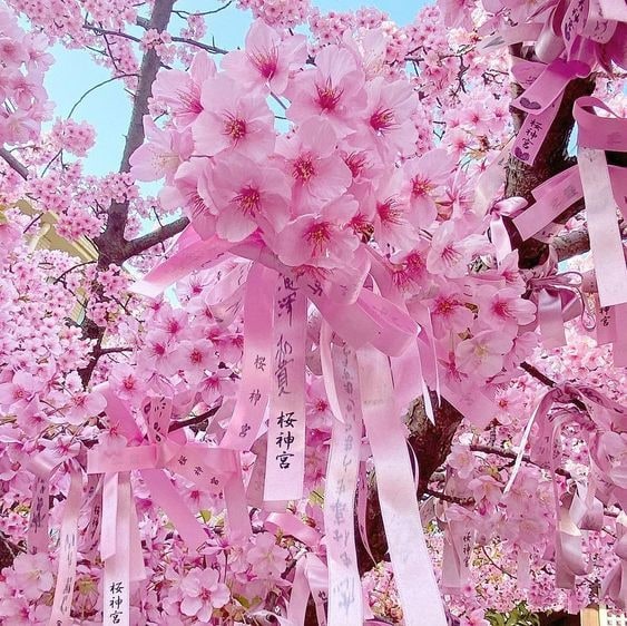 本気の人だけ！子どもの将来をより良い方向に導きます 学校生活・結婚・金運・人間関係などお子様に関する占い鑑定 イメージ3