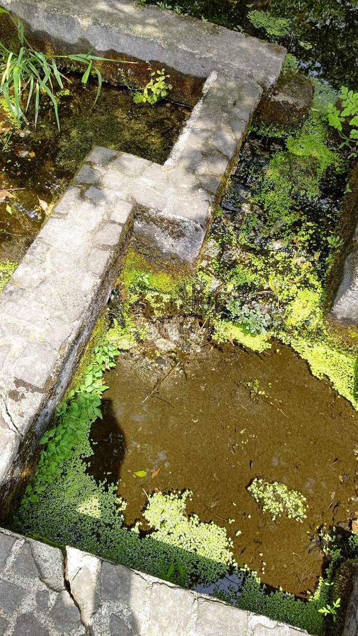 恋愛占います トランプでの占い…気になりません？ イメージ4