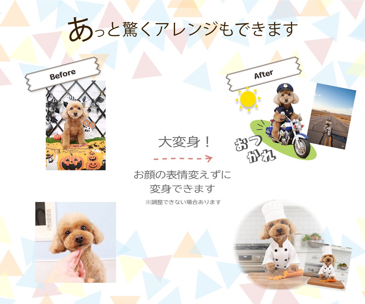 限定モニター価格☆ペット写真スタンプ 作成します 先着残り2名様限定！修正無制限＆満足度◎面倒な丸投げOK！ イメージ3
