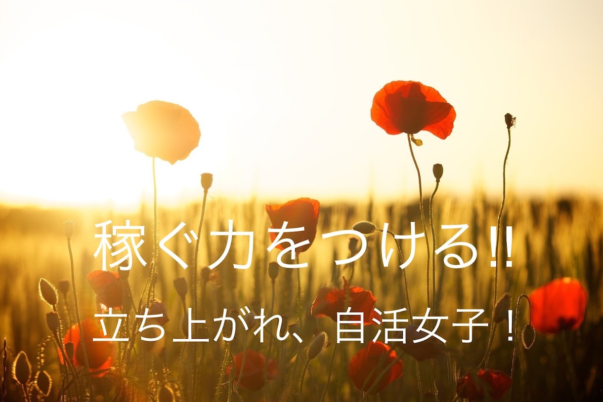副業★月収0〜30までのステップ、伝授します ◎いつになったら自由になれるのかな？？絶望中のあなたへ イメージ1