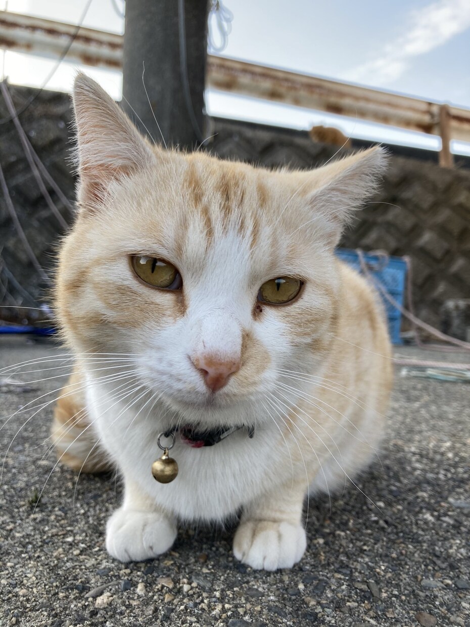 どんな相談でもあなたの味方になります 安く優しく丁寧にあなたの話をききます。 イメージ1