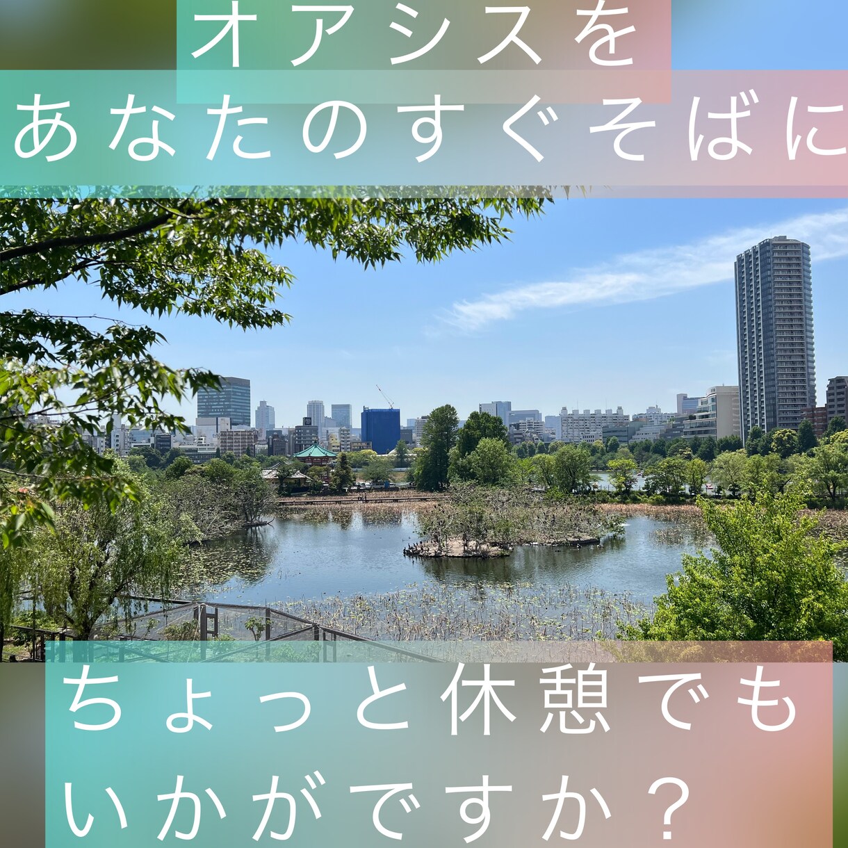 元ホストが✨働く主婦の悩み解消✨相談承ります 主婦/人妻/仕事/子供/家事/家庭/育児/旦那/癒し/ イメージ3