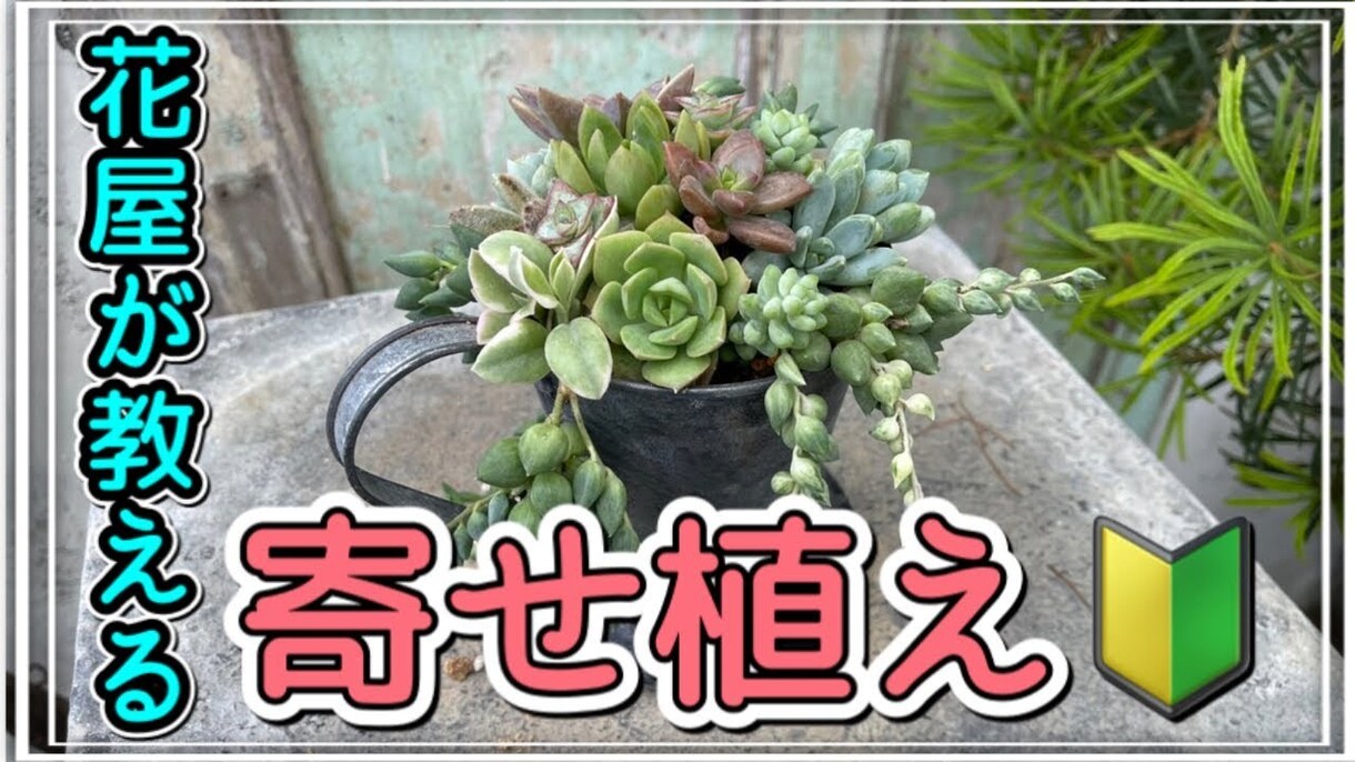 YouTube向けに動画編集いたします オールジャンル対応可能！希望に沿った動画を提供いたします！ イメージ1