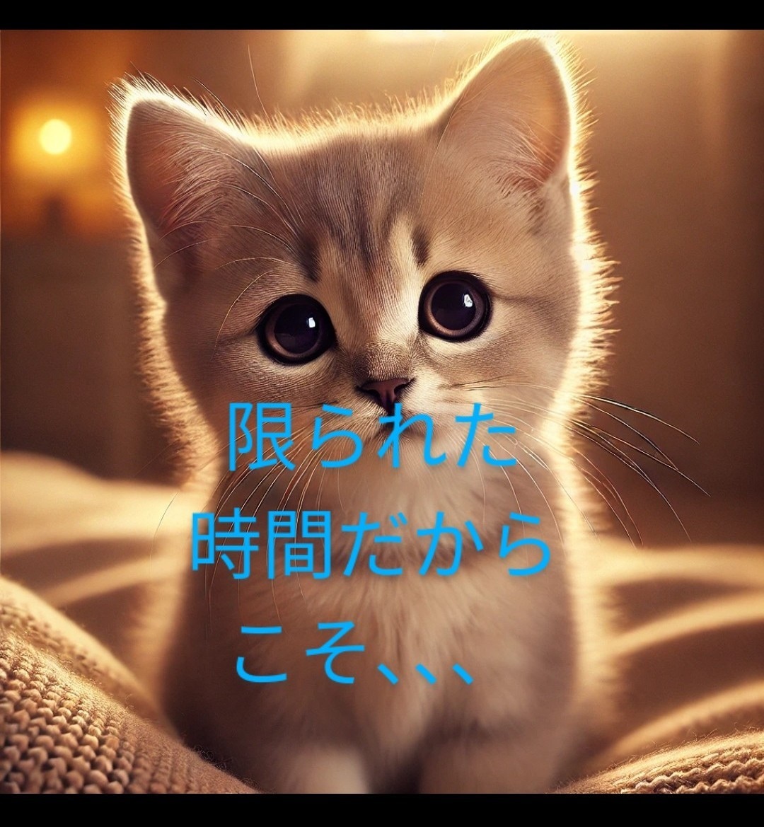 10分間or15分間のみお相手のお気持ち伝えます ☆お急ぎの方・お相手から届くあなたへのお気持ちお伝えします☆ イメージ2