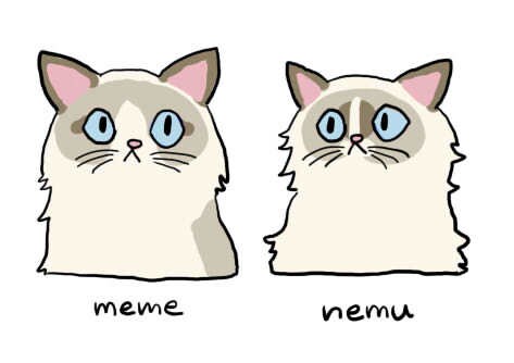 猫ちゃん犬ちゃん描きます みんなのおうちのアイドルをアイコンにしちゃおう‼️ イメージ1