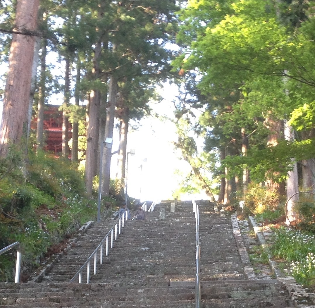 頑張るあなたの背中を押す言葉を授けます 普段から頑張るあなたに。その背中を優しく押します。 イメージ1