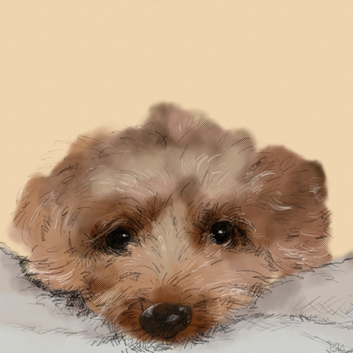 あなただけのペットアートを描きます 力強い鉛筆の線と水彩で仕上げます！ イメージ6