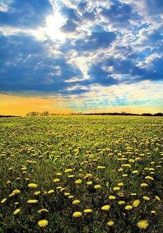ＨＳＰの私が悩み相談、愚痴お話お聞きします 共感重視です(*^^*)癒やされたい方どうぞ♪ イメージ7