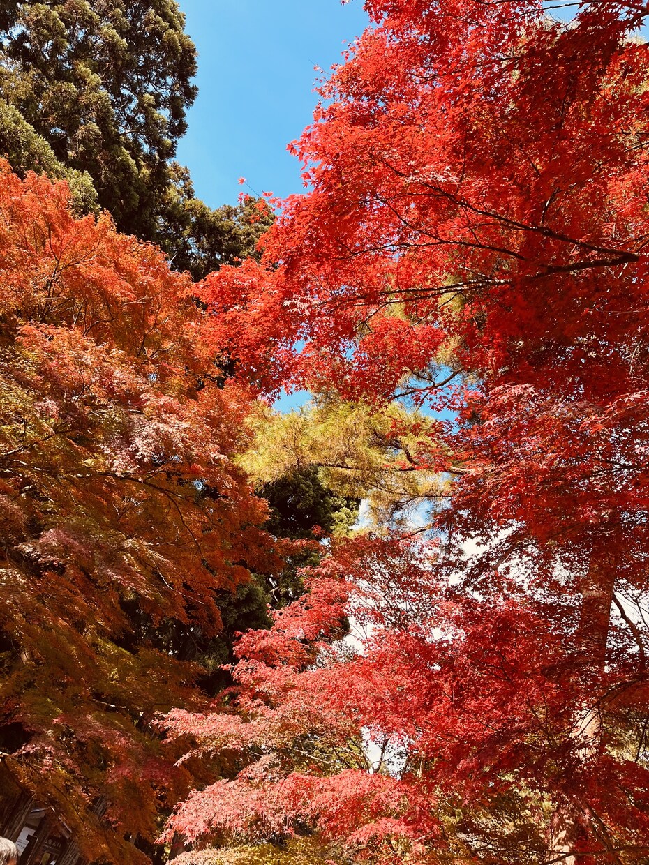 写真を販売します 写真の素材を探していませんか？？ イメージ3
