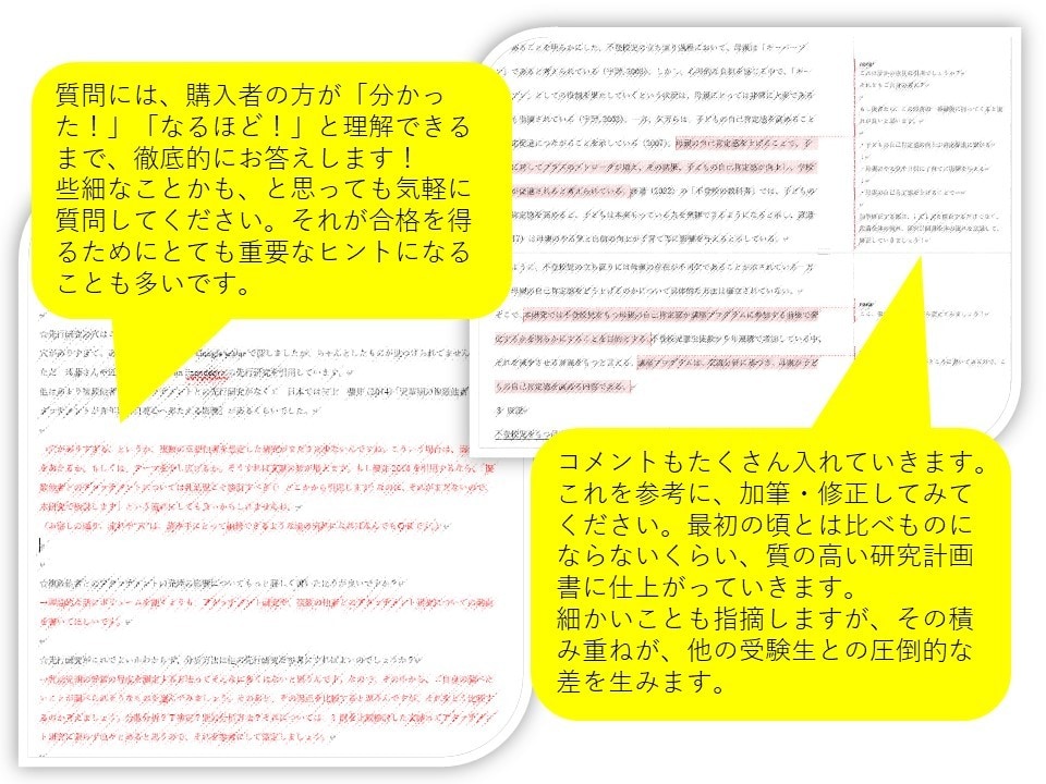 大学編入　研究計画書・志望理由書の添削します 編入経験あり＆東大大学院卒のわたしが試験当日まで合格サポート イメージ3