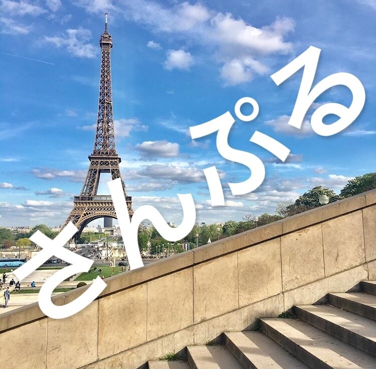 パリの観光をサポート致します より楽しい旅行になるようにサポート！ イメージ5