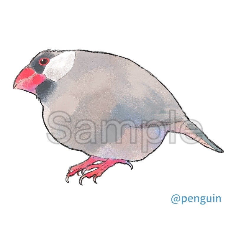 あなたの愛鳥さんをお描きします お好みのタッチであなたの愛鳥さんをイラスト化します。 イメージ3