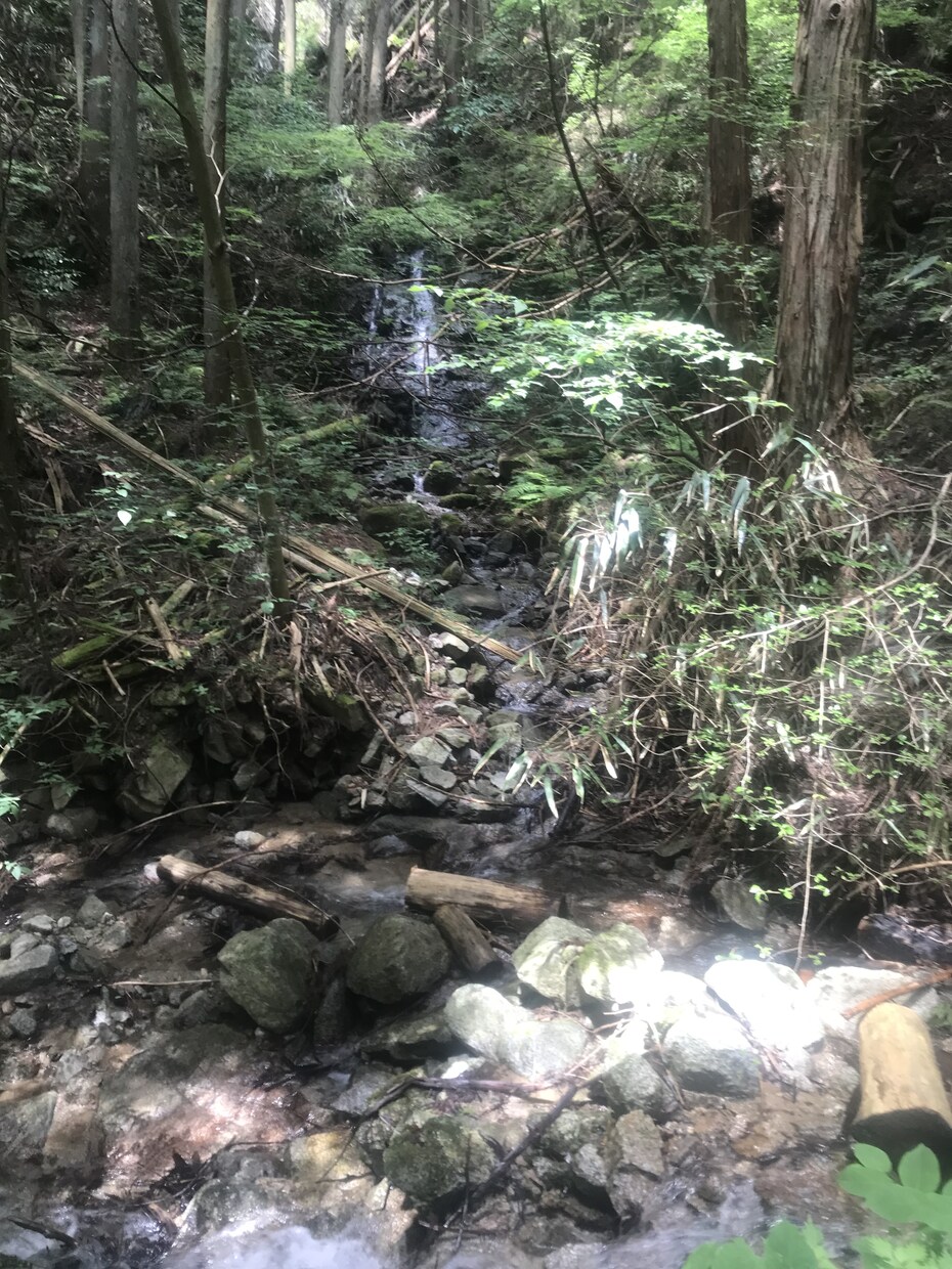 主に恋愛を中心に占います どんなことでもお気軽にご相談ください。 イメージ1