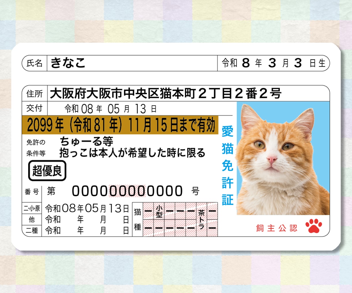本物そっくり！ペットのオリジナル免許証を作ります 嬉しい2枚セット！丈夫なプラスチック製オリジナルペット免許証 イメージ2