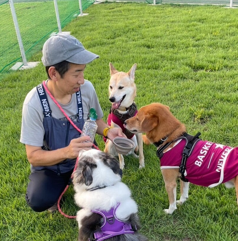 懐かない野犬(保護犬)が家族になるサポートをします (水族館で多くの野生動物経験を、野犬のしつけに活用) イメージ3