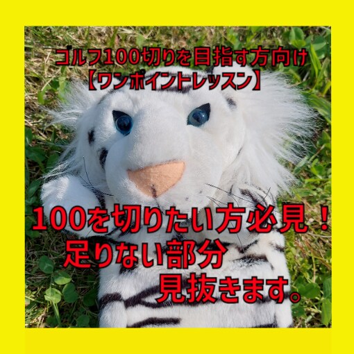 リピーター続出！のレッスンをココナラで開始致します ✨スコア100以上の方向け動画添削レッスンです✨ イメージ5