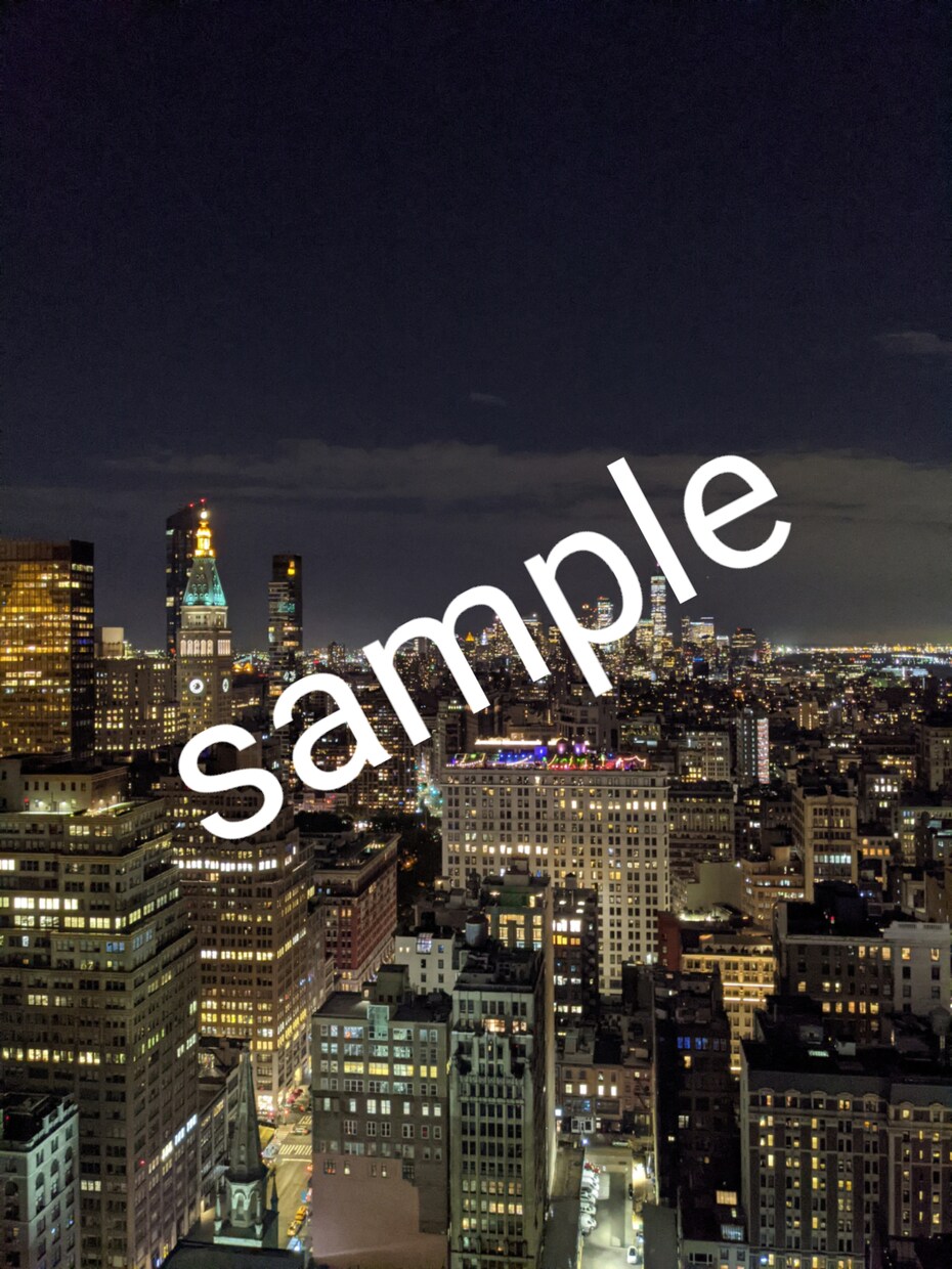 NY、ラスベガス、LA、ディズニーの写真提供します 全部で628枚☆アメリカ☆用途指定なし☆即提供可 イメージ6