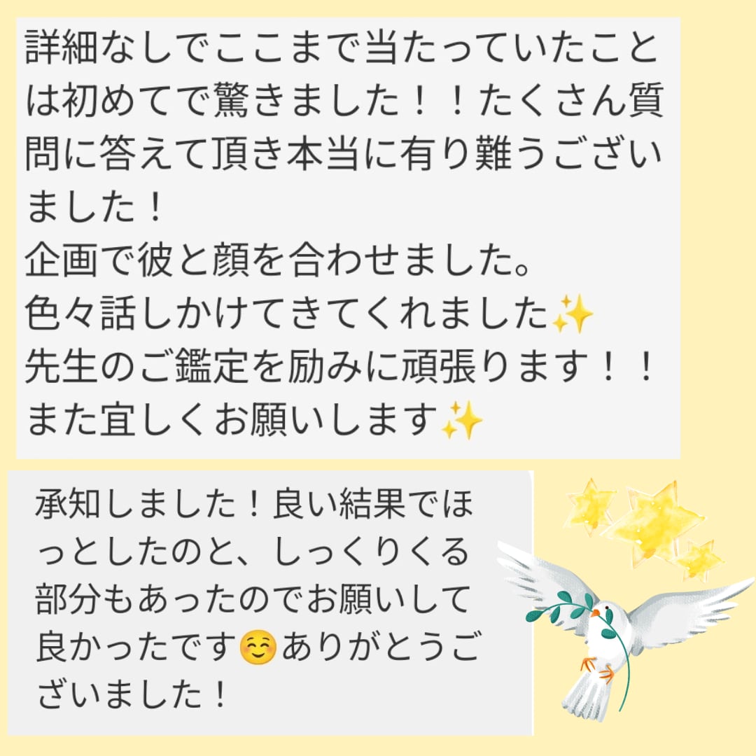 初回限定・生年月日名前不要・本格タロットで占います 複雑な状況説明や情報なしでOK！ イメージ4