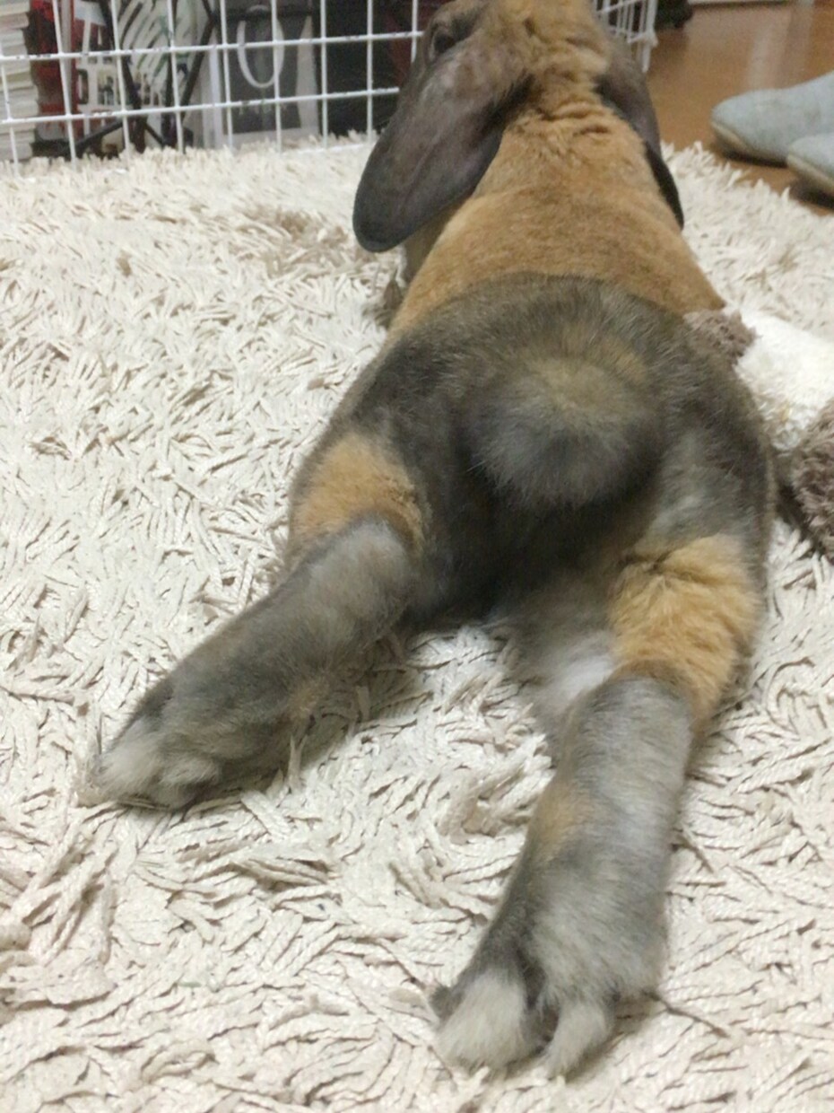 ダイエットメニューの相談を乗ります 其々、出来ることやり易いことが違うので通話で相談に乗ります イメージ1